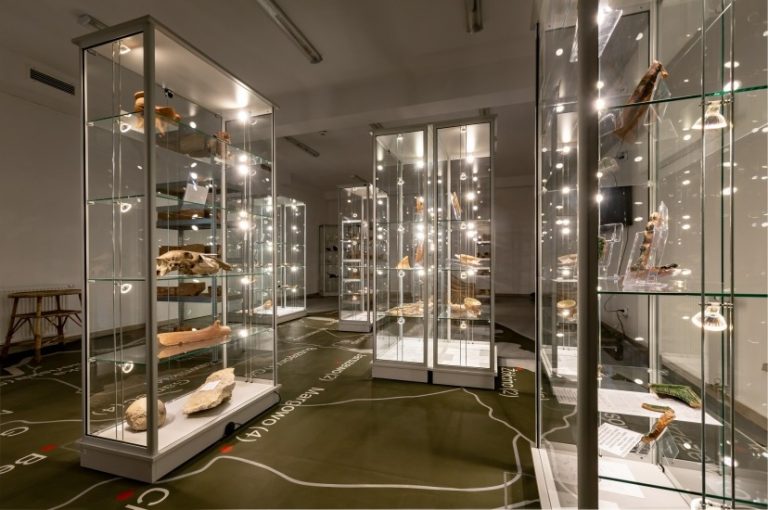 Muzeum Historii Ziemi Kamieńskiej