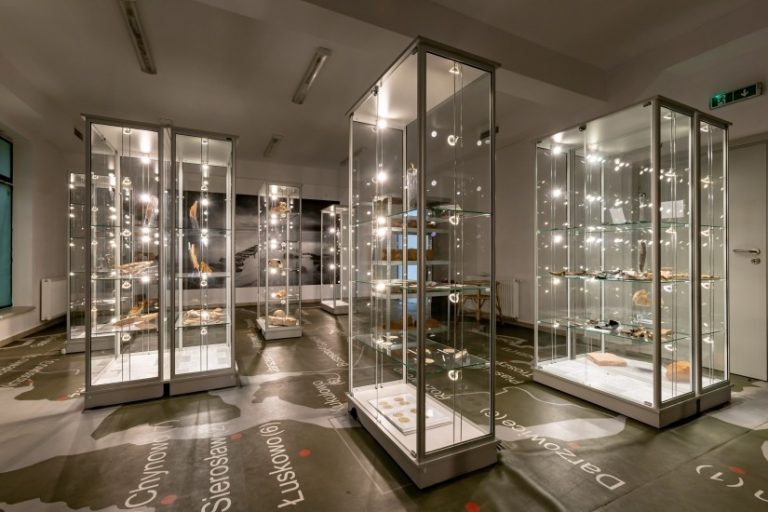 Muzeum Historii Ziemi Kamieńskiej